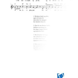 Nú durva bjørk og pílur