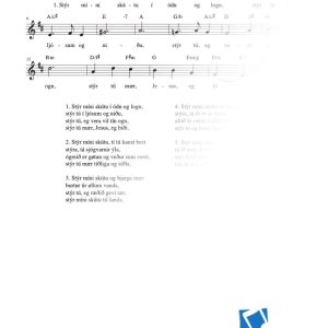 Stýr míni skútu í ódn og logn